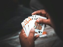 Sports Card Collecting